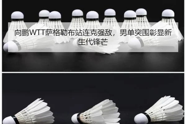 xiang-peng-sa-ge-lei-bu-zhan-lian-ke-qiang-di-nan-dan-tu-wei-zhang-xian-xin-sheng-dai-feng-mang-2-752.jpg
